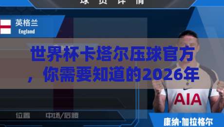 世界杯卡塔尔压球官方，你需要知道的2026年最新动态（世界杯卡塔尔压球官方）