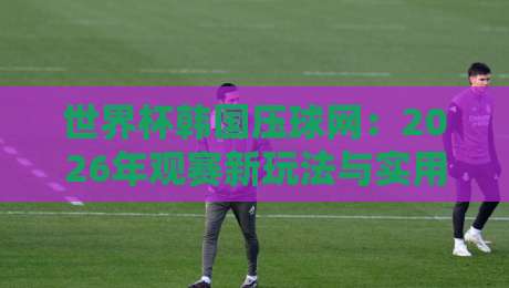 世界杯韩国压球网：2026年观赛新玩法与实用指南