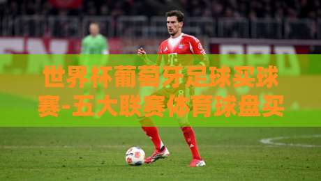 世界杯葡萄牙足球买球赛-五大联赛体育球盘买球赛：2026年最新投注策略与实战心得