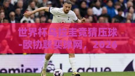 世界杯乌拉圭竞猜压球-欧协联买球网，2026年球迷必看的新趋势！（世界杯乌拉圭竞猜压球-欧协联买球网）