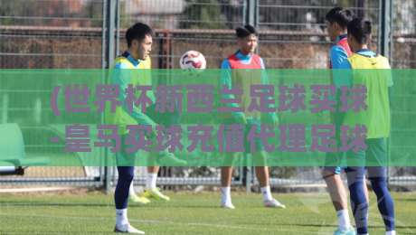 (世界杯新西兰足球买球-皇马买球充值代理足球体育),2026年球迷必看的三大趋势与避坑指南 (世界杯新西兰足球买球-皇马买球充值代理足球体育),2026年球迷必看的三大趋势与避坑指南