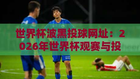 世界杯波黑投球网址：2026年世界杯观赛与投注全攻略