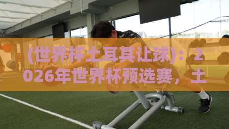 (世界杯土耳其让球):2026年世界杯预选赛,土耳其让球盘口深度解析 (世界杯土耳其让球):2026年世界杯预选赛,土耳其让球盘口深度解析