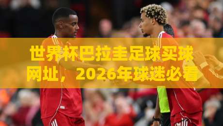 世界杯巴拉圭足球买球网址，2026年球迷必看的高效选择