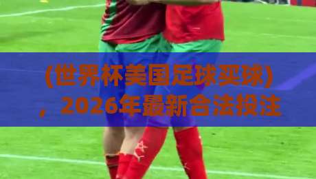(世界杯美国足球买球)，2026年最新合法投注渠道与避坑指南