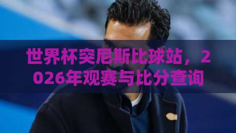 世界杯突尼斯比球站，2026年观赛与比分查询全攻略