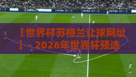 【世界杯苏格兰让球网址】- 2026年世界杯预选赛苏格兰让球盘口深度解析