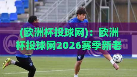 (欧洲杯投球网):欧洲杯投球网2026赛季新老球迷必备指南 (欧洲杯投球网):欧洲杯投球网2026赛季新老球迷必备指南