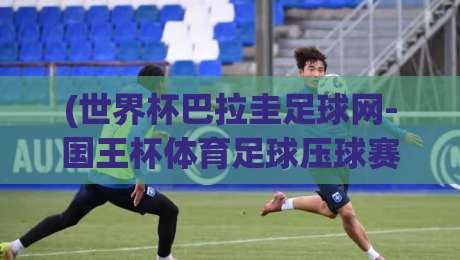 (世界杯巴拉圭足球网-国王杯体育足球压球赛) 2026年，巴拉圭足球迷的“压球赛”新玩法