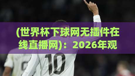 (世界杯下球网无插件在线直播网)：2026年观赛新选择，告别卡顿与广告困扰