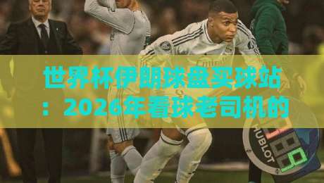 世界杯伊朗球盘买球站：2026年看球老司机的避坑指南（干货）